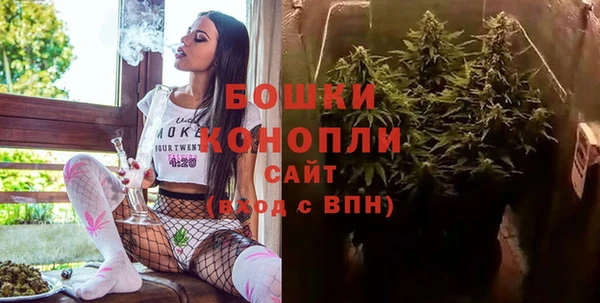 стаф Зерноград