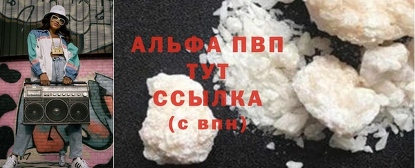 стаф Зерноград