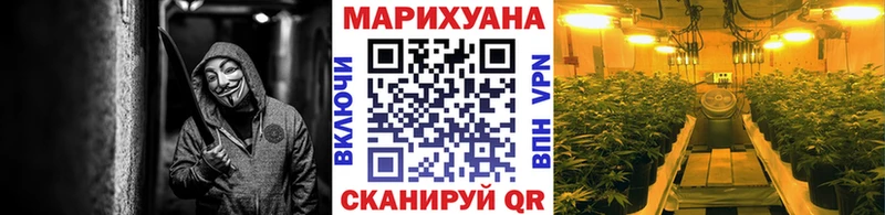 Купить закладки  Юрьев-Польский  Марихуана план 